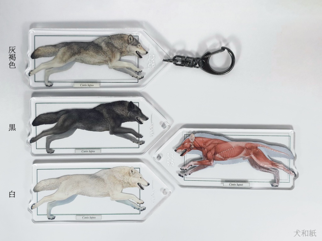 オオカミ解剖図風キーホルダー【一枚】