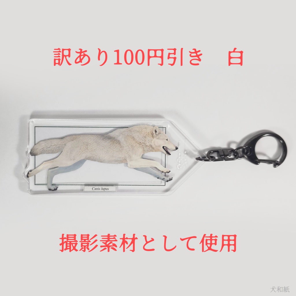 【訳あり100円引き】オオカミ解剖図風キーホルダー【一枚ver】