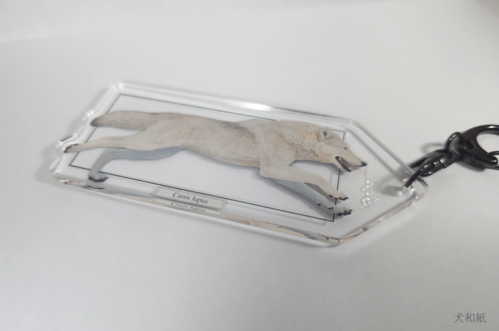 【訳あり100円引き】オオカミ解剖図風キーホルダー【一枚ver】