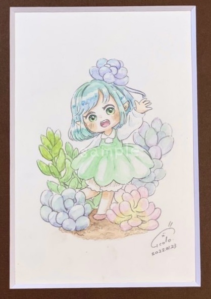 パキフィツムちゃん