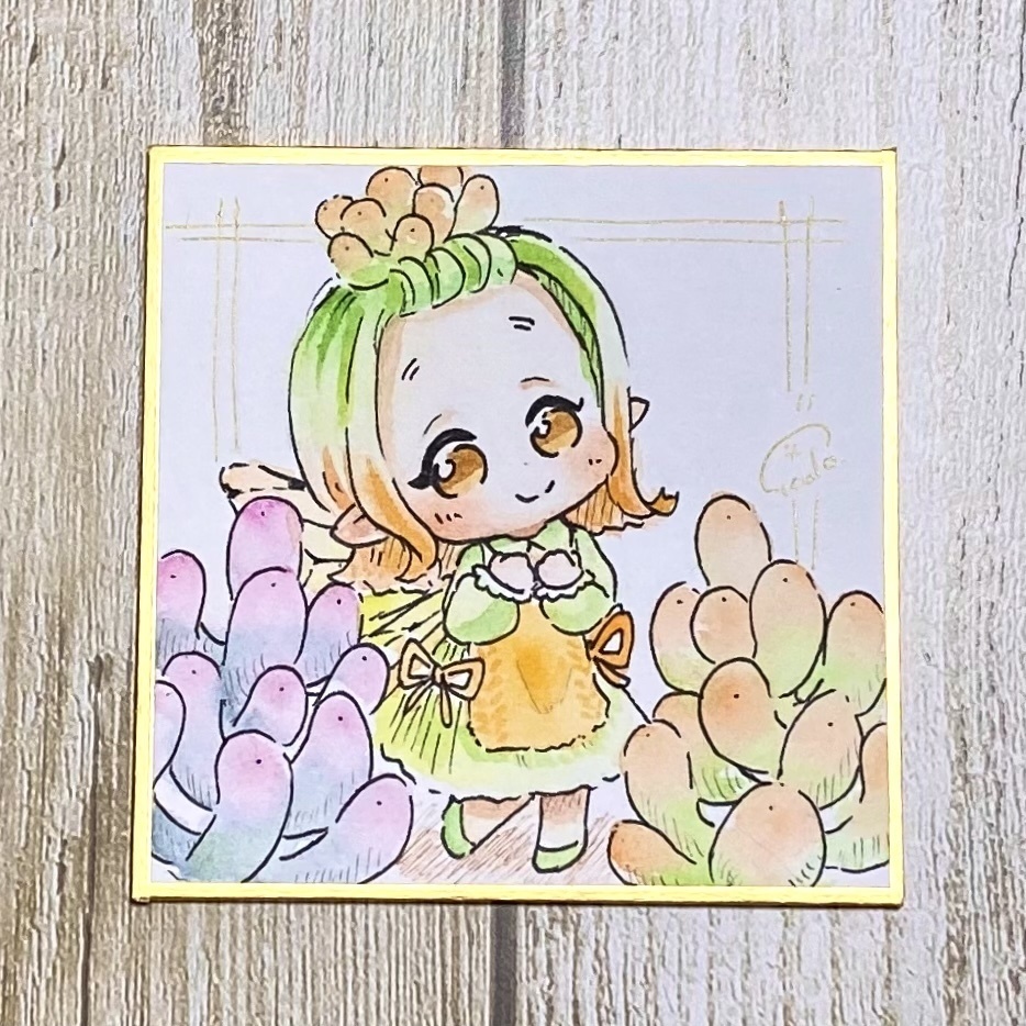 豆色紙『Plants Fairly』シリーズ