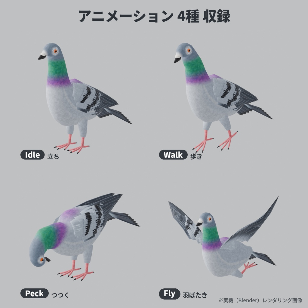 【ローポリ】ハト 3Dモデル|リグ・アニメ4種付き(FBX / Blender / Unity)