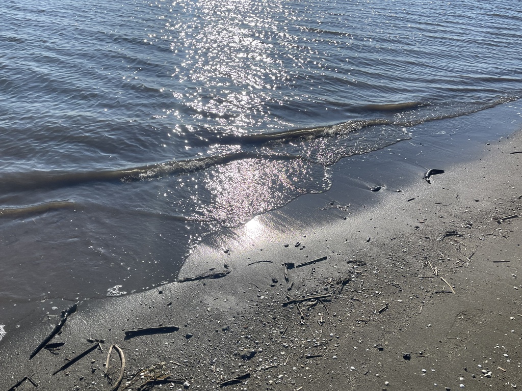 【CC0画像・動画】秋の海