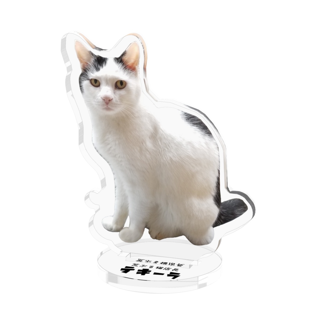 アクリルフィギュア/テキーラ