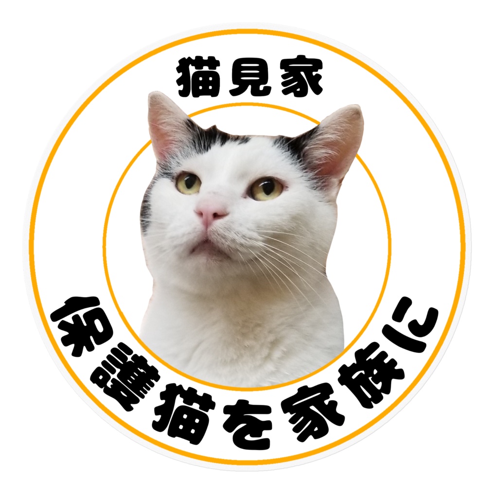 保護猫 安い ステッカー