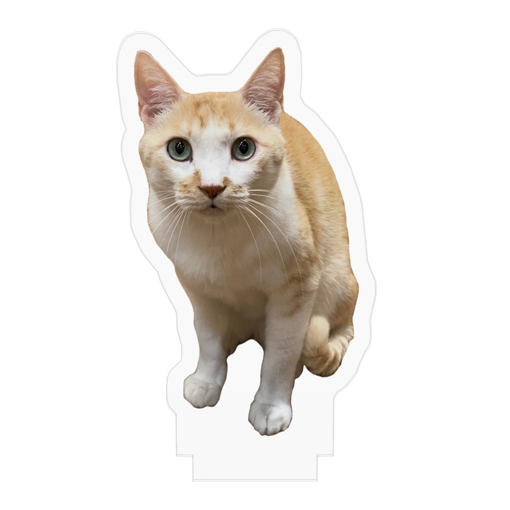 アクリルフィギュア/かんた