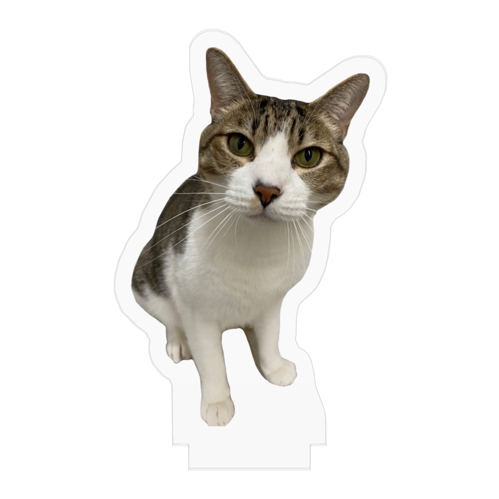 アクリルフィギュア/ポン太