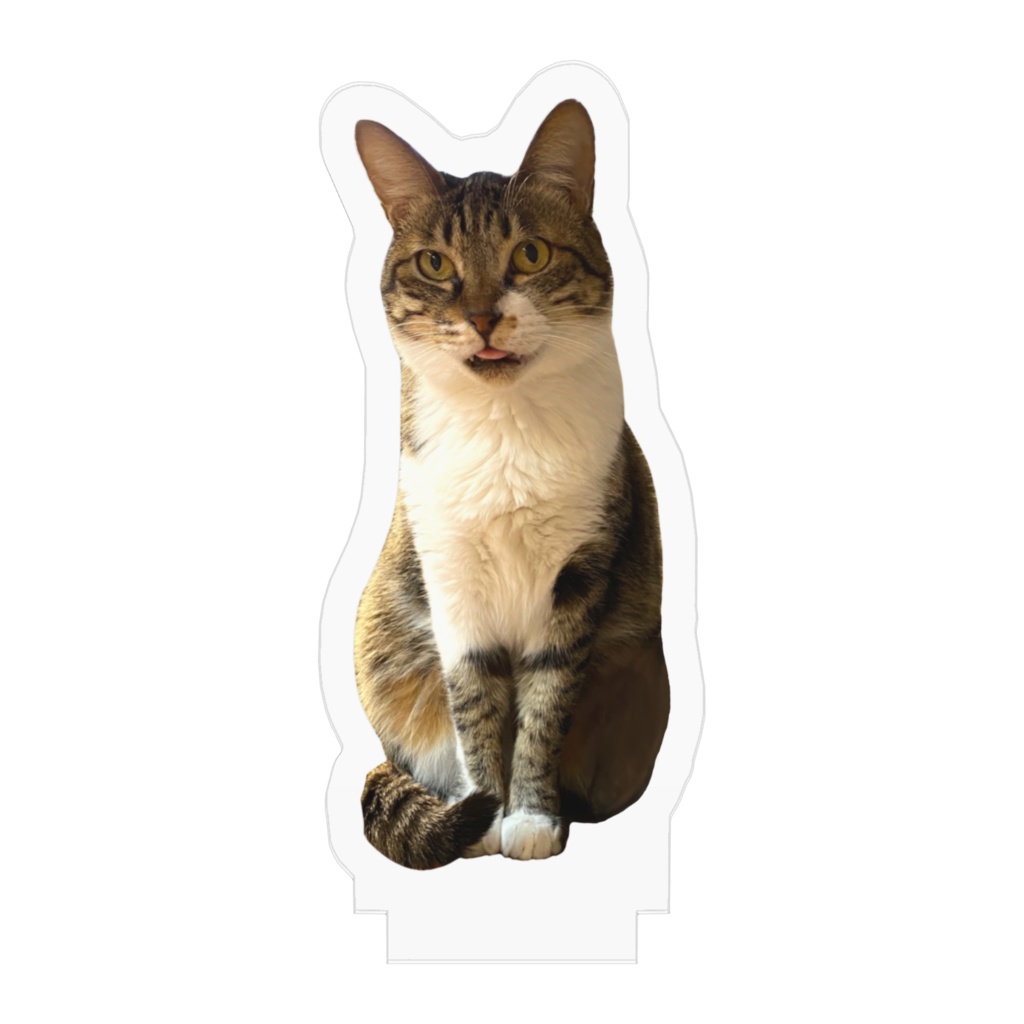 アクリルフィギュア/ミー