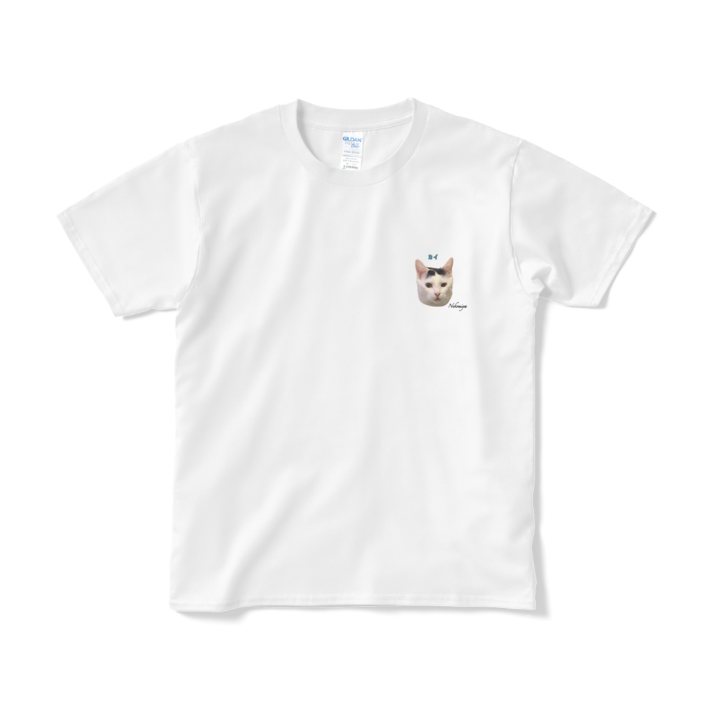 カイのシンプルTシャツ