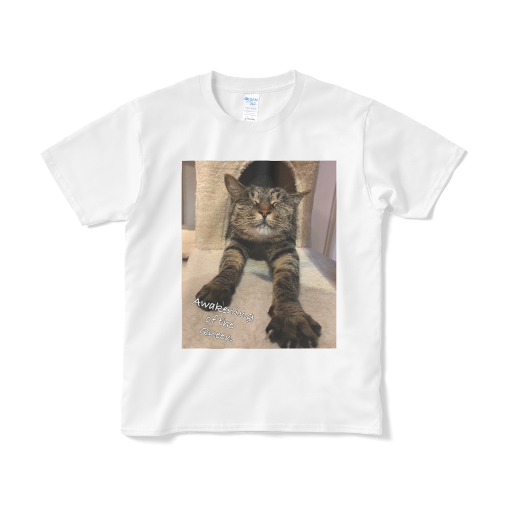 ノアール女王のお目覚め