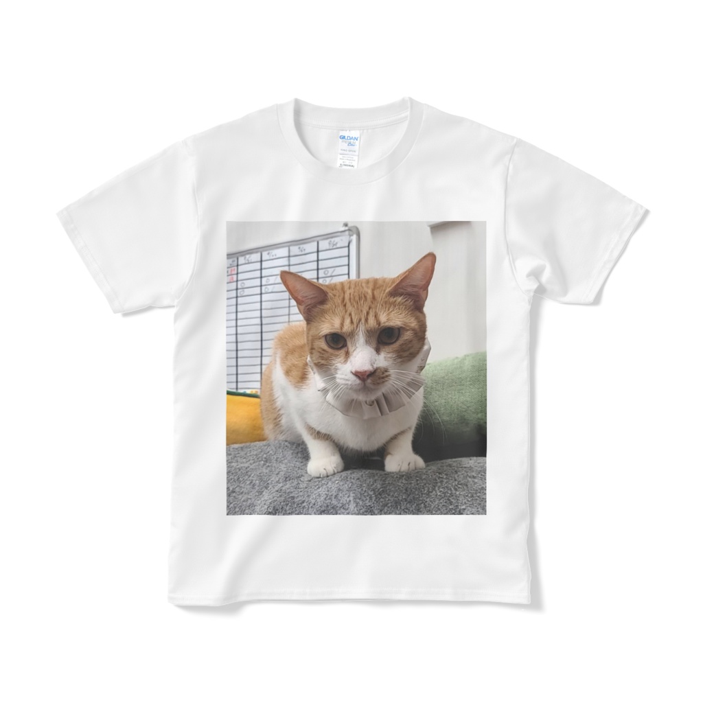 スターのキメ顔Tシャツ