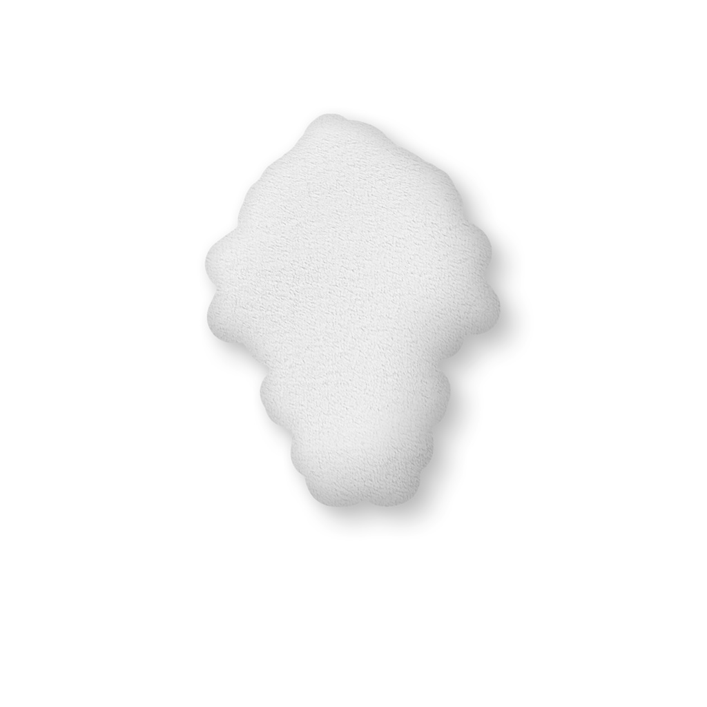 ほめ待ちりさ子