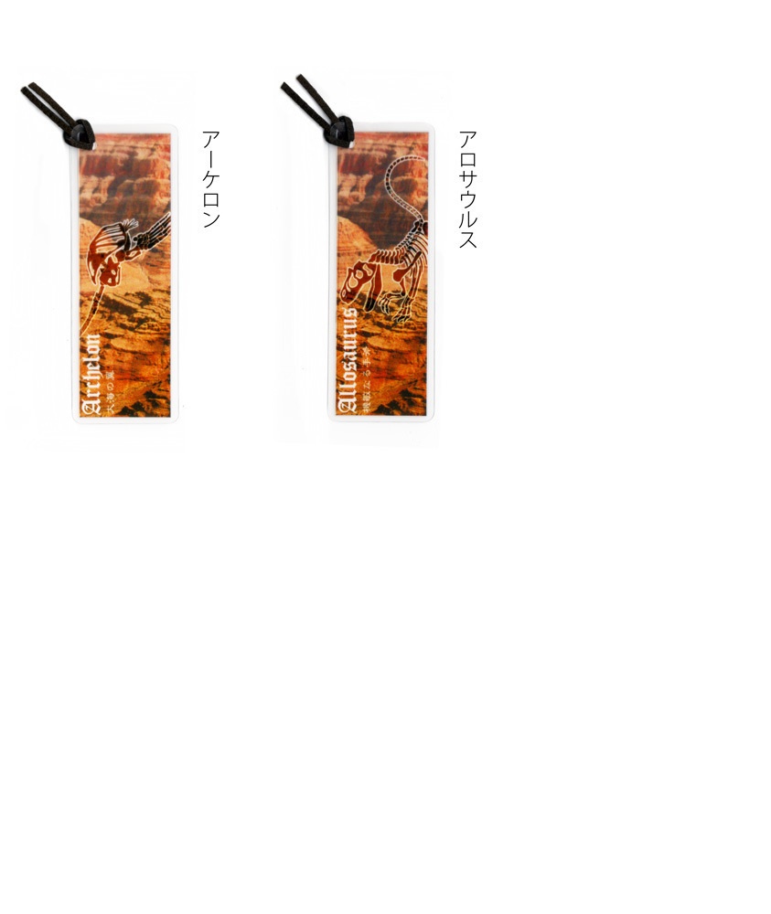 恐竜化石クリアラミしおり