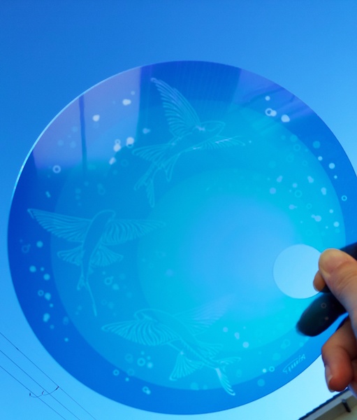 透明丸うちわ トビウオ