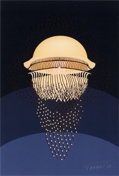 キラつやポストカード ナイトフラワー・エチゼンクラゲ