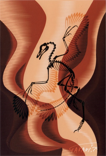 キラつやポストカード 始祖鳥降臨