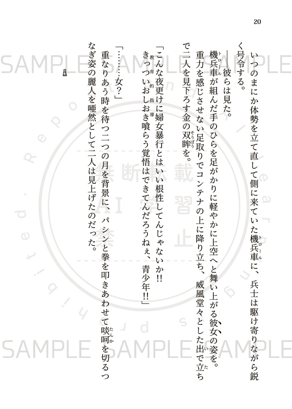 【匿名配送】名もなき王の墓