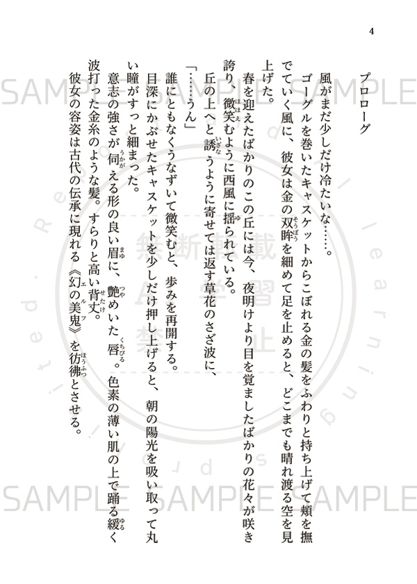 【匿名配送】名もなき王の墓
