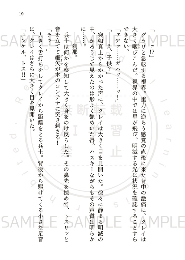 【匿名配送】名もなき王の墓