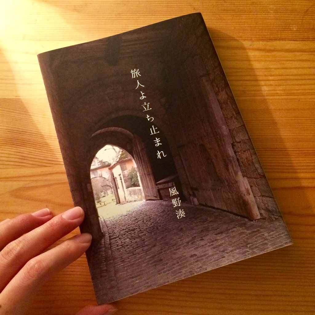 【14ヶ国旅行記】旅人よ立ち止まれ 新装版