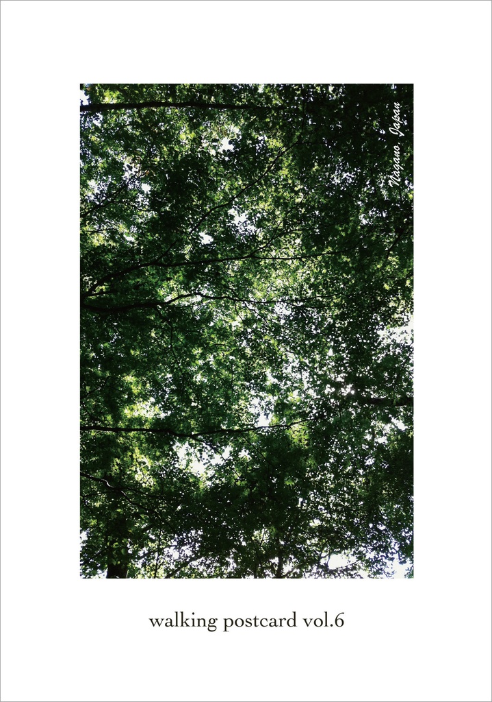 【個人雑誌】walking postcard vol.6「樹木のバカンス」（『すべての樹木は光』後日談）