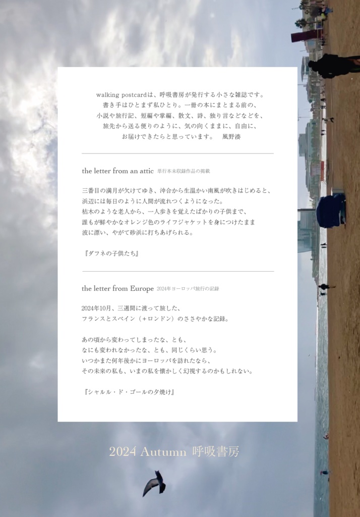 【完売】walking postcard vol.11【再販予定なし】