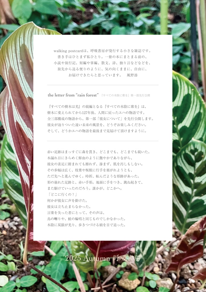 walking postcard vol.12