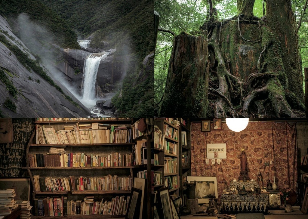 流れゆくもの 屋久島、ゴア