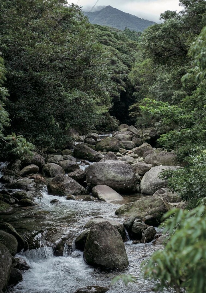 流れゆくもの 屋久島、ゴア
