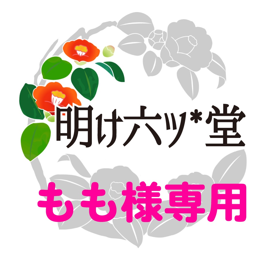 得価低価チェもも様専用ページ クレンジング/メイク落とし