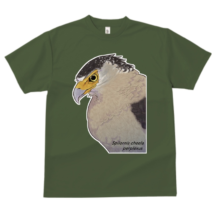 カンムリワシ　ドライTシャツ
