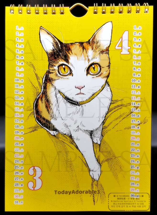 【値下げ】☆DUPLUS 2025 CALENDAR☆