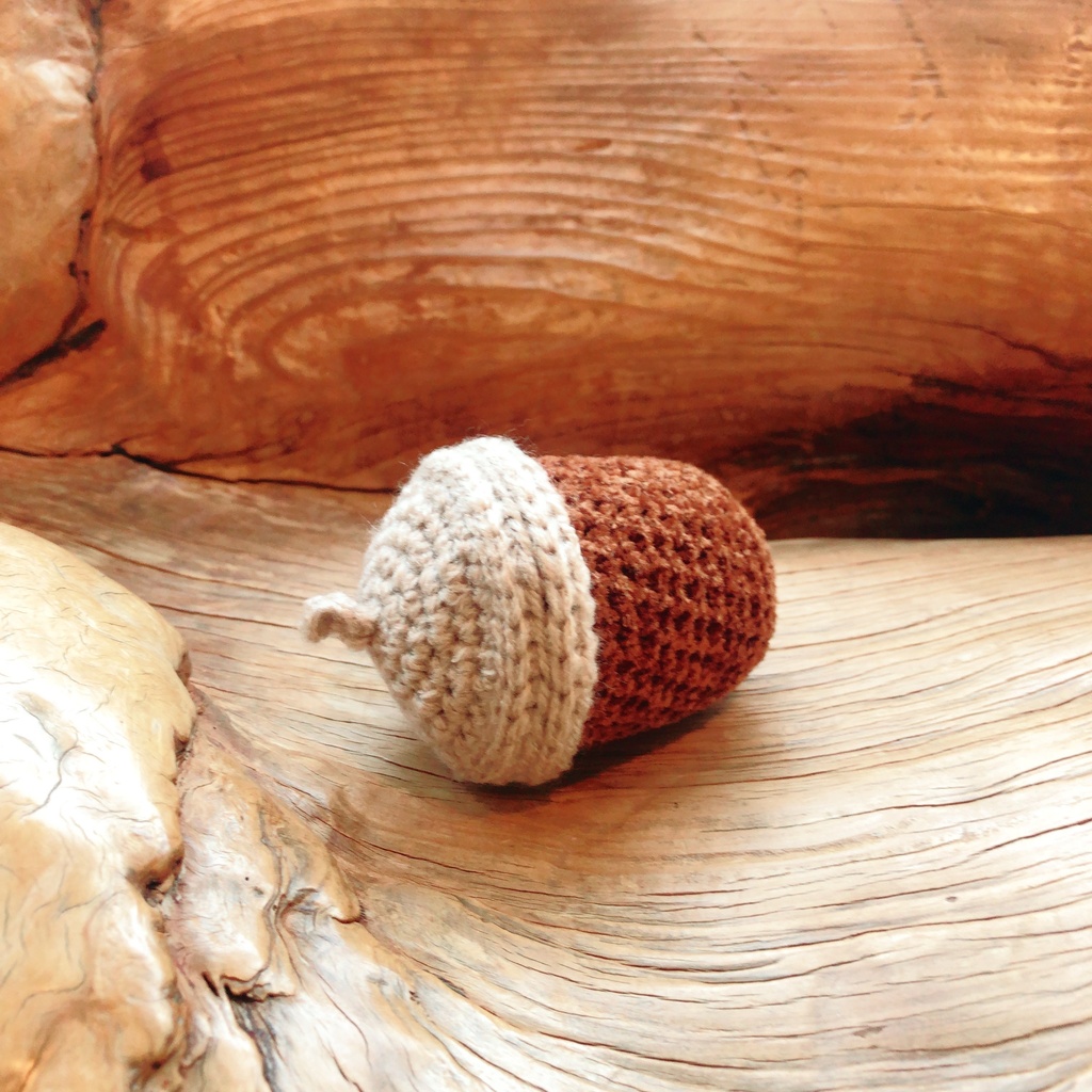 もちもちマスコット どんぐりチャンの着ぐるみ