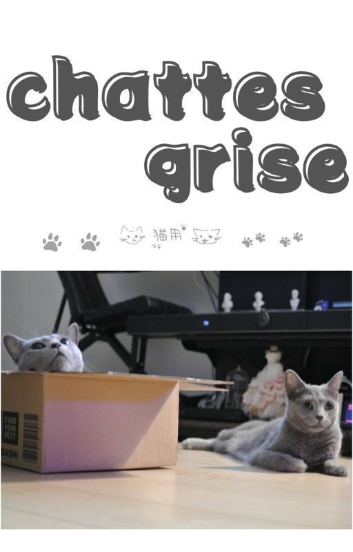 【DL版】chattes grise