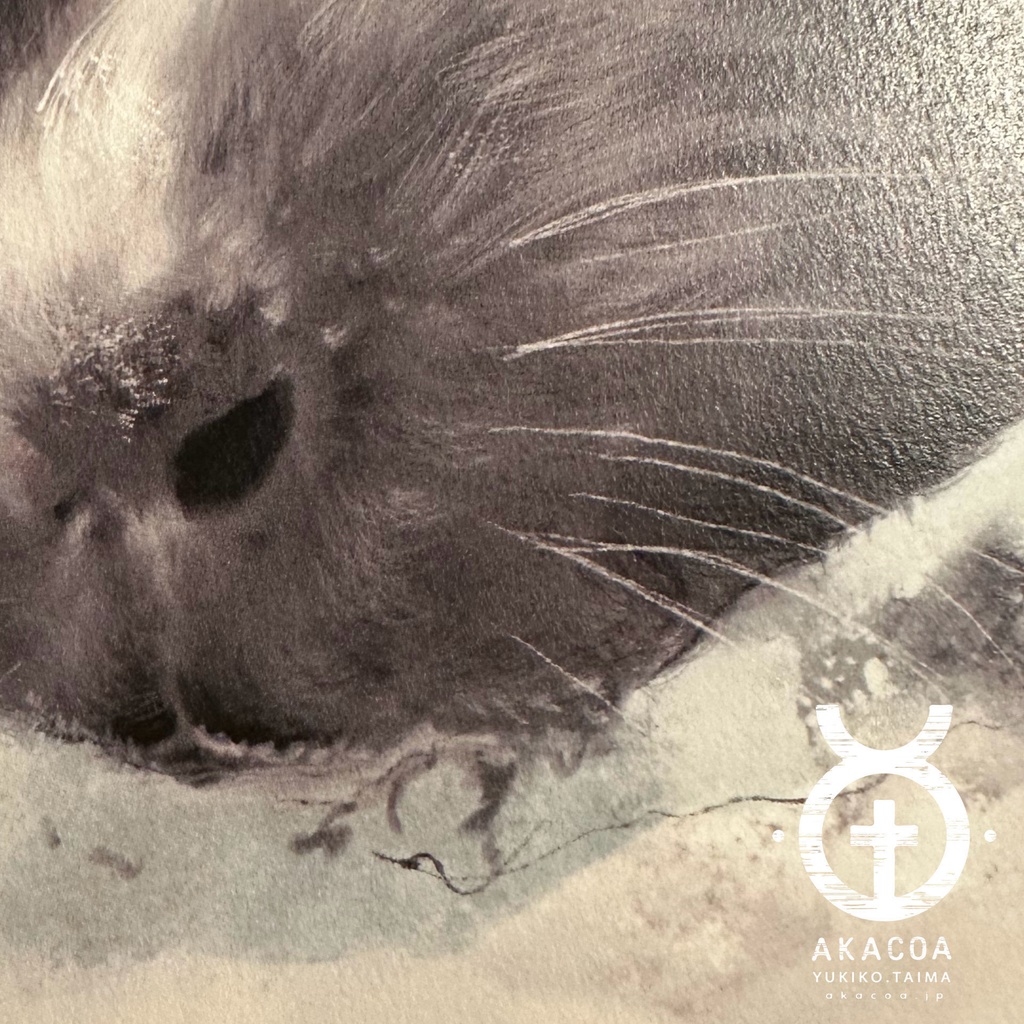 【2024年1月始まり】モルスケッチカレンダー【月めくり】