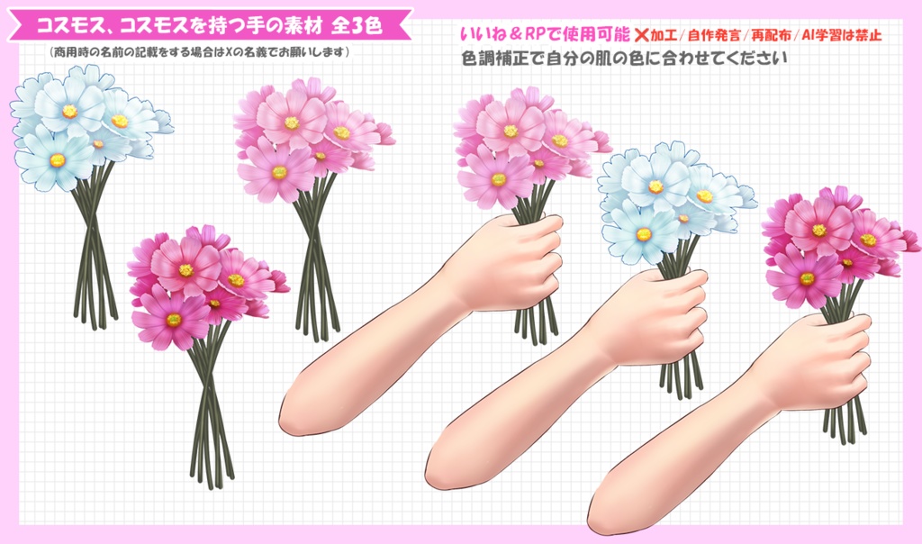 【フリー素材】コスモス、コスモスを持つ手