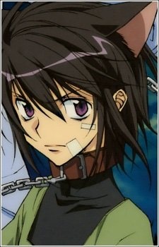 Ritsuka's hair and ears! Vroid hair preset cat ears Loveless