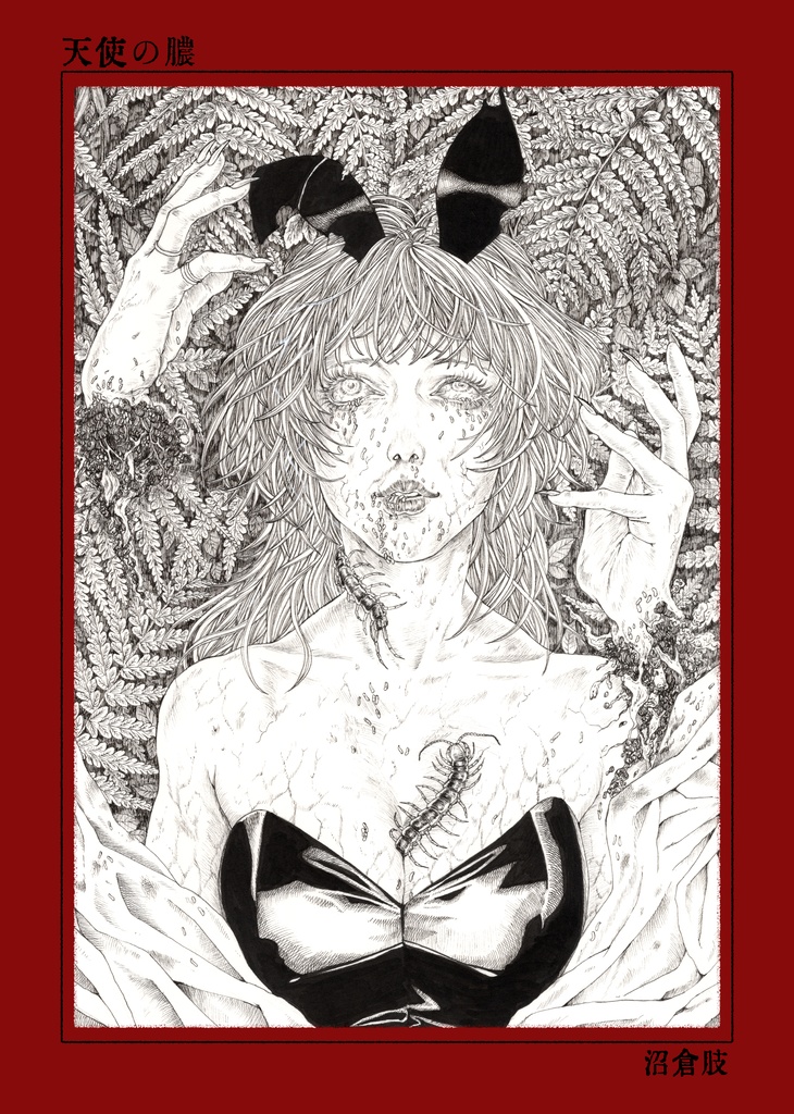 ビニ本(画集)｢天使の膿｣