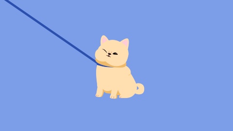 【無料・配信素材】柴犬(拒否柴)の待機画面ループ動画【Meira Base】