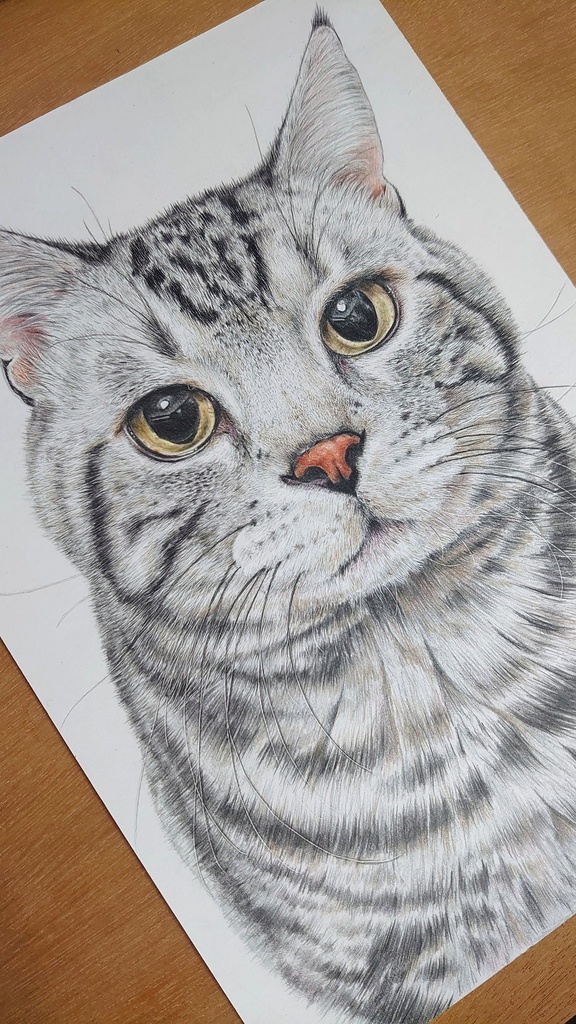 色鉛筆でペットの似顔絵を描きます 空想世界館 Booth