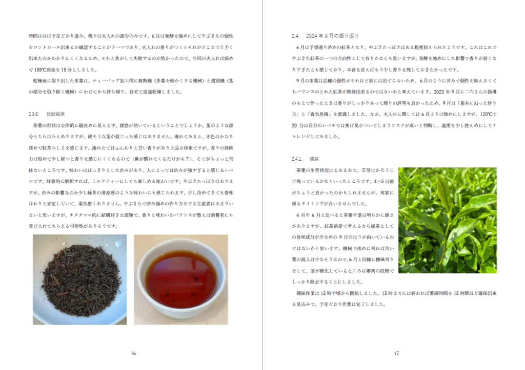 【C105新刊】和紅茶作りの研究レポート 2024年6月~2024年10月