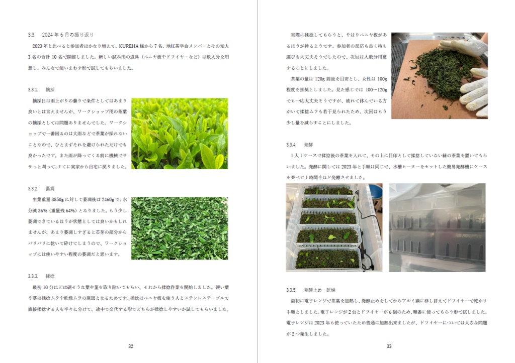 【C105新刊】和紅茶作りの研究レポート 2024年6月~2024年10月