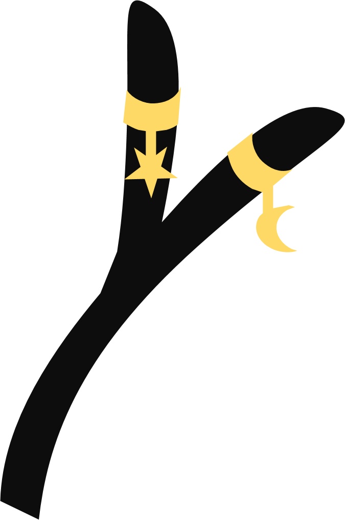 Two Tailed Cat Assets