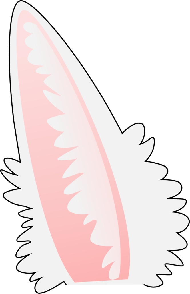 Bunny Set | Vtuber Assest