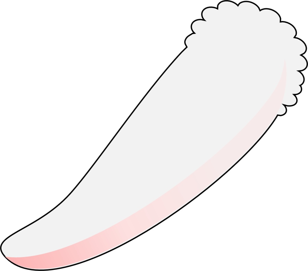 Bunny Set | Vtuber Assest