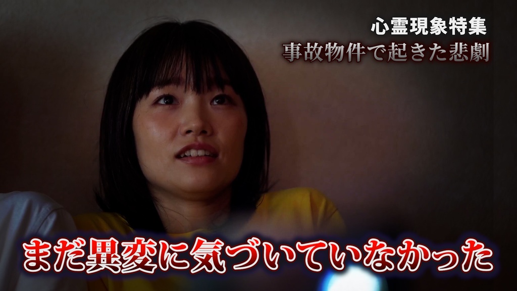 【完全版】Premiere Proテロップテンプレート530点&プリセット36点セット