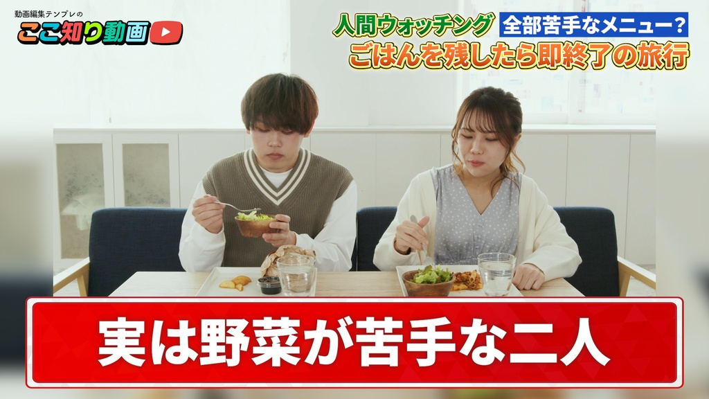 【究極版】Premiere Proテロップテンプレート&エフェクトプリセット1024点セット