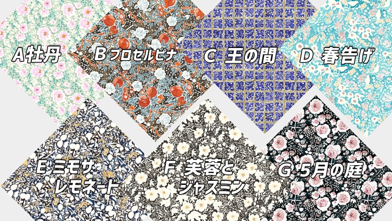 2021 SS 万年筆イラストマルチクロス