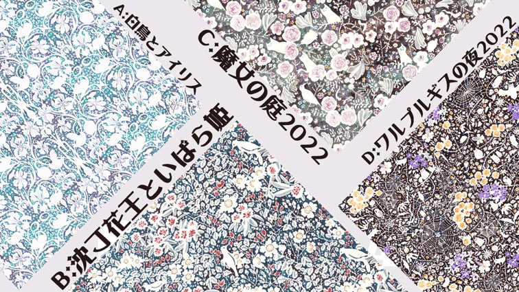 シーナケイ // 2022 AW マルチクロス