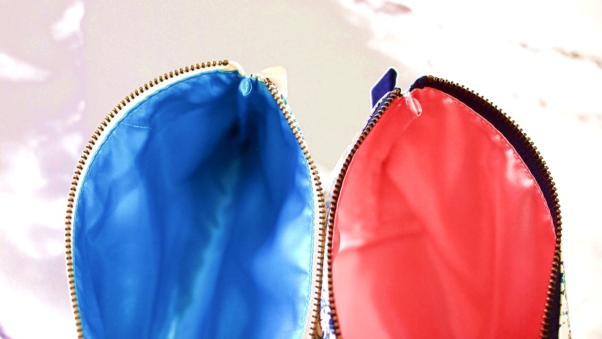 2022 AW/万年筆イラスト図案 ポーチ《白鳥とアイリス》